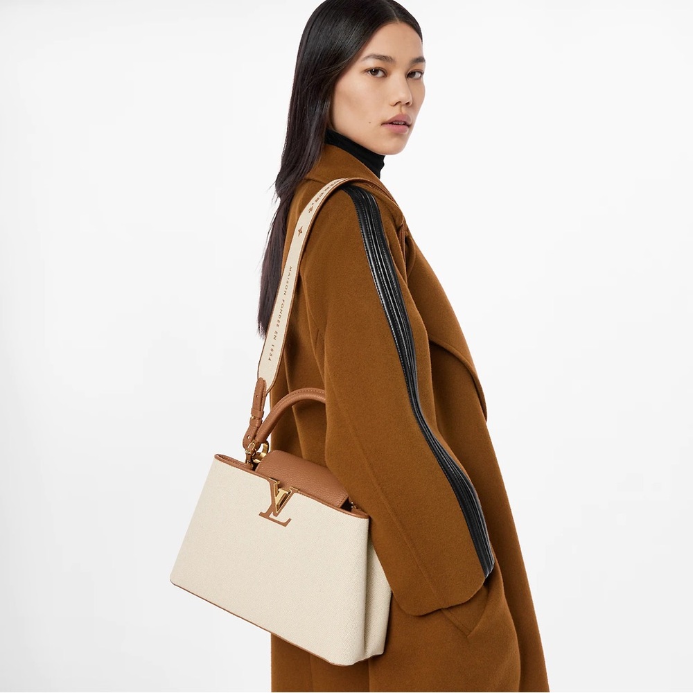 LV Capucines Canvas Bag